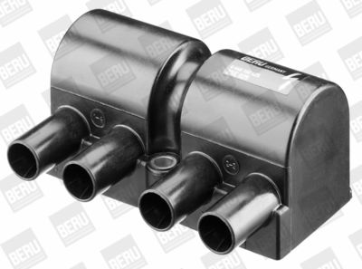 Катушка зажигания BorgWarner (BERU) ZSE025