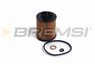 Масляный фильтр BREMSI FL2487