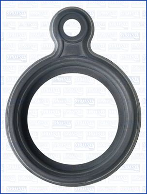 Blīve, Sprauslas kanāls AJUSA 01529400
