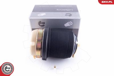 Pneimoatspere, Balstiekārta ESEN SKV 58SKV029