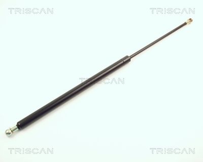 Gāzes atspere, Bagāžas/Kravas nodalījuma vāks TRISCAN 87102711