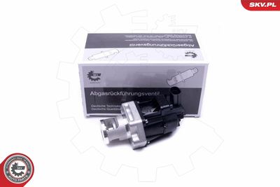 Клапан возврата ОГ ESEN SKV 14SKV217