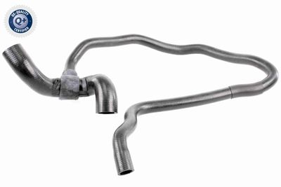 Radiatora cauruļvads VAICO V40-1164