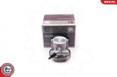 Hidrosūknis, Stūres iekārta ESEN SKV 10SKV218