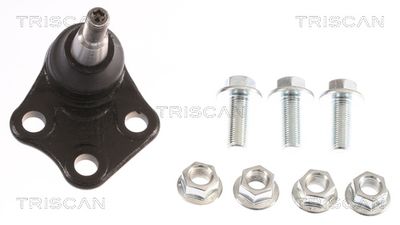 Balst-/Virzošais šarnīrs TRISCAN 850025596