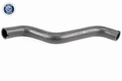 Radiatora cauruļvads VAICO V24-0874