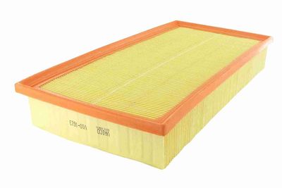 Воздушный фильтр VAICO V10-1613