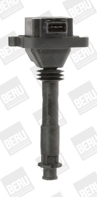 Aizdedzes spole BorgWarner (BERU) ZS310