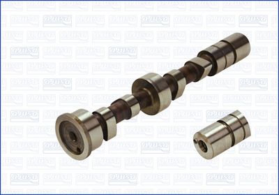 Sadales vārpsta AJUSA 93070200