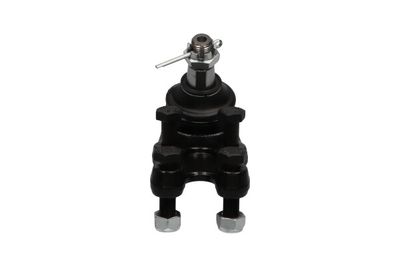 Balst-/Virzošais šarnīrs KAVO PARTS SBJ-5520