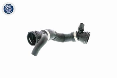 Шланг радиатора VAICO V20-2400