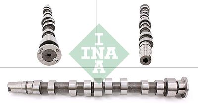 Sadales vārpsta Schaeffler INA 428 0173 10