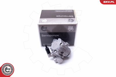 Hidrosūknis, Stūres iekārta ESEN SKV 10SKV282