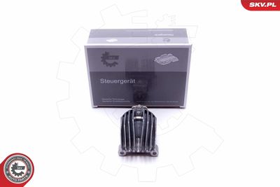 Устройство управления, освещение ESEN SKV 59SKV073