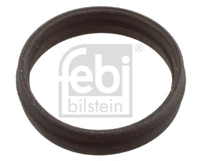 Blīve, Eļļas sūknis FEBI BILSTEIN 106600