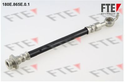Тормозной шланг FTE 9240887