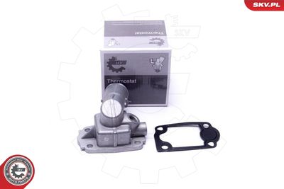 Termostats, Dzesēšanas šķidrums ESEN SKV 20SKV168