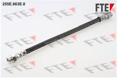 Тормозной шланг FTE 9240110