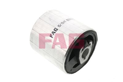 Подвеска, рычаг независимой подвески колеса Schaeffler FAG 829 0018 10