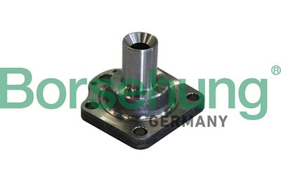 Riteņa rumba BORSEHUNG B11291
