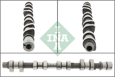 Распредвал Schaeffler INA 428 0212 10
