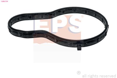 Blīve, Termostats EPS 1.890.734