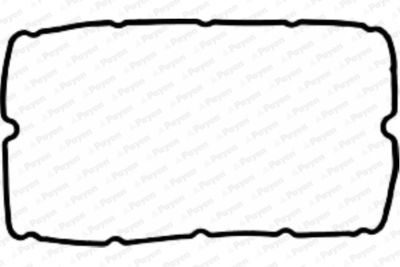 Blīve, Motora bloka galvas vāks PAYEN JM5037