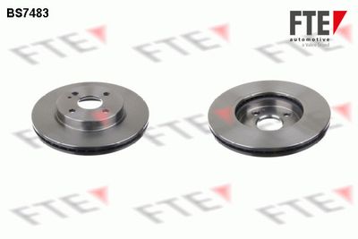 Тормозной диск FTE 9072202
