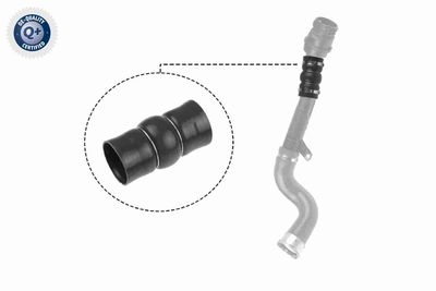 Трубка нагнетаемого воздуха VAICO V460831