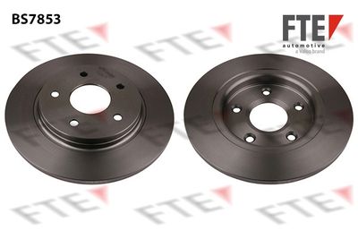 Тормозной диск FTE 9072852