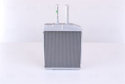 Siltummainis, Salona apsilde NISSENS 707072