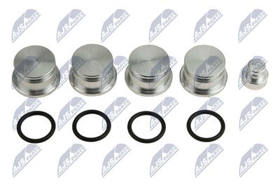 Ремкомплект, модуль впускного коллектора NTY BKS-PL-007A