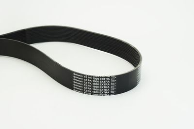 Ķīļrievu siksna CONTINENTAL CTAM 12PK1900EXTRA