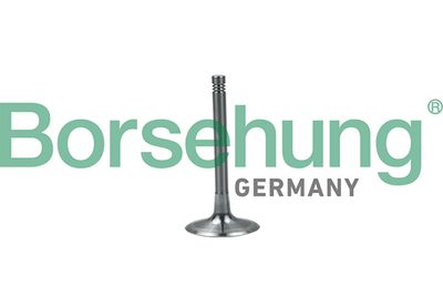 Впускной клапан BORSEHUNG B19028
