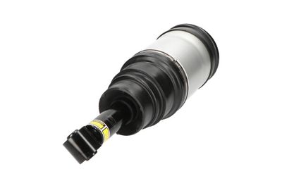 Опора пневматической рессоры KAVO PARTS SAS-10020