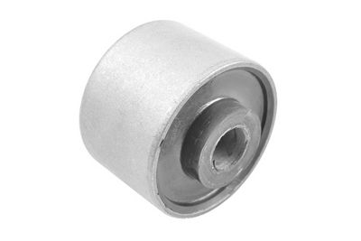 Piekare, Šķērssvira TEDGUM 00467690