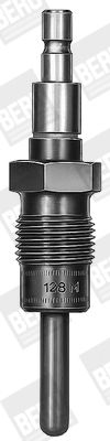 Kvēlsvece BorgWarner (BERU) GV145
