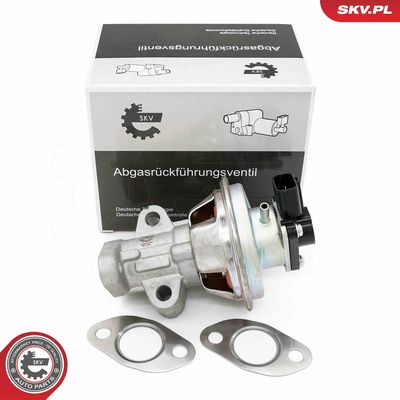 Клапан возврата ОГ ESEN SKV 14SKV262