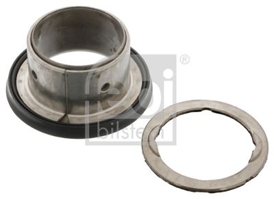Bukse, Vadītāja kabīnes spilvens FEBI BILSTEIN 45724