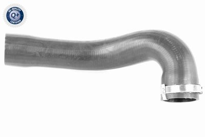 Pūtes sistēmas gaisa caurule VAICO V40-1508