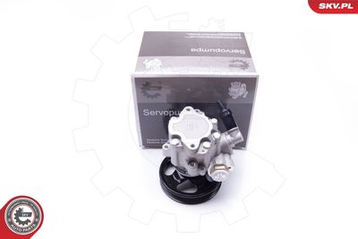 Hidrosūknis, Stūres iekārta ESEN SKV 10SKV077