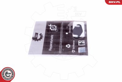 Remondikomplekt, EGR-klapp ESEN SKV 14SKV559