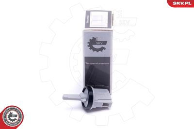Датчик, внутренняя температура ESEN SKV 17SKV698
