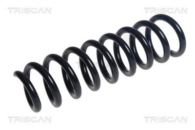 Balstiekārtas atspere TRISCAN 875 028 465