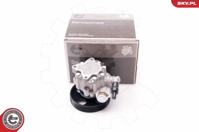 Hidrosūknis, Stūres iekārta ESEN SKV 10SKV197