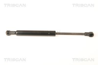 Gāzes atspere, Bagāžas/Kravas nodalījuma vāks TRISCAN 871023218