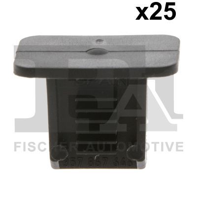 Moldings/aizsarguzlika FA1 11-10017.25