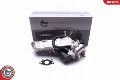 Клапан возврата ОГ ESEN SKV 14SKV234