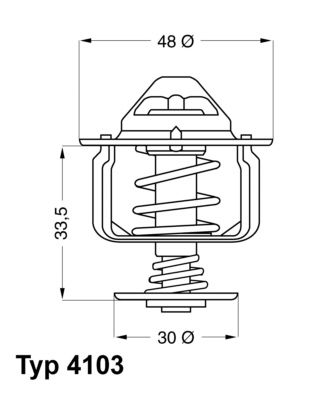 Termostats, Dzesēšanas šķidrums BorgWarner (Wahler) 4103.82D