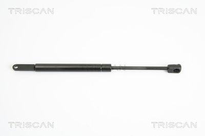 Gāzes atspere, Motora pārsegs TRISCAN 871011108